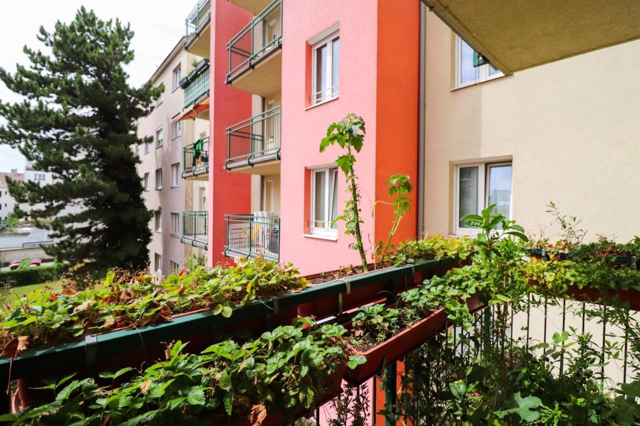 Cozynite Premium Apartment Schoenbrunn 2 Viena Exterior foto